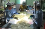 Nghị quyết 68 đi vào cuộc sống - Bài cuối: Doanh nghiệp đầu ngành sẽ là ‘đầu tàu’ của nền kinh tế