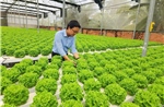 Doanh nghiệp hướng đến sản xuất xanh để giữ vững thị trường xuất khẩu