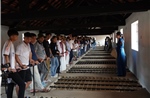 Cảnh giác với lừa đảo khi nhu cầu đặt tour hè tăng cao