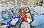 TP Hồ Chí Minh mới: Hướng đến nền công nghiệp xanh và công nghệ cao (Bài cuối)