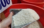 TP Hồ Chí Minh: Saigon Co.op lên tiếng về việc bị cấm thầu 3 năm