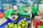 Doanh nghiệp Việt tìm lối vào EU qua chuẩn ESG