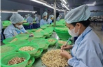 Thương hiệu Việt trước cơ hội và thách thức trong kỷ nguyên số