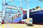 TP Hồ Chí Minh mới - Bài cuối: Phát triển cảng biển thành trung tâm hàng hải quốc tế