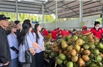 &#39;Ươm mầm&#39; cho sinh viên phát triển nông sản Việt