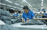 TP Hồ Chí Minh 50 năm mang tên Bác - Bài 2: Tạo mọi điều kiện cho kinh tế tư nhân phát triển