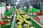 Đưa nông sản Việt vươn xa - Bài 2: Chuyển đổi số và chuyển đổi xanh tạo sức bật mới