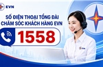 TP Hồ Chí Minh: Tổng đài 1558 tăng thêm kênh hỗ trợ khách hàng sử dụng điện