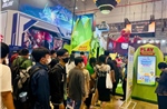Tiềm năng thị trường game tại Việt Nam: Từ giấc mơ tỷ USD đến điểm đến toàn cầu