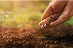 Giải Báo cáo phát triển bền vững 2025 hướng tới tương lai xanh và minh bạch