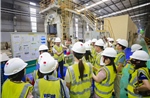 Saint-Gobain tiên phong dùng nhiên liệu sinh khối sản xuất tấm xi măng xanh tại Quảng Trị