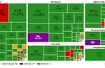 VN-Index tăng hơn 16 điểm, sắc xanh bao phủ thị trường