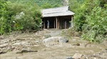 Tuyên Quang: Khẩn trương khắc phục hậu quả hoàn lưu bão số 2