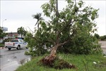 Quảng Ngãi: Huy động lực lượng giúp nhân dân khắc phục hậu quả của bão Noru