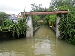 Thanh Hóa: Còn nhiều địa phương bị ngập lụt, chia cắt do mưa lũ 