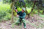 Tăng thu nhập từ chuyển đổi cơ cấu cây trồng