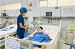 Hai mẹ con nhập viện nghi do ngộ độc nấm mọc trên xác nhộng ve sầu