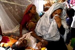 Bangladesh: 21 người tử vong trong 1 ngày do sốt xuất huyết
