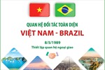 Thủ tướng Phạm Minh Chính tiếp Lãnh đạo Hội Hữu nghị Brazil - Việt Nam