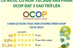 Giai đoạn 2018-2023: Cả nước có hơn 10.300 sản phẩm OCOP đạt 3 sao trở lên