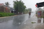 Mưa chuyển mùa &#39;giải nhiệt&#39; nhiều địa phương ở tỉnh Trà Vinh