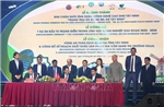 Công nhận Vùng an toàn dịch bệnh tại Tây Ninh