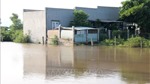 Bình Thuận: Mưa lớn gây thiệt hại nhiều nhà cửa và sản xuất nông nghiệp
