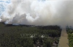 Cháy lớn tại Vườn Quốc gia Tràm Chim, Đồng Tháp