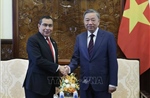 Chủ tịch nước Tô Lâm tiếp Đại sứ Panama