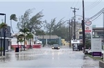 Sáu người thiệt mạng do bão Beryl, Caribe tiếp tục báo động