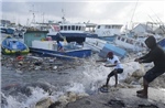 Siêu bão Beryl bắt đầu tấn công các đảo thuộc vùng Caribe