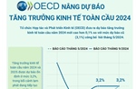 OECD nâng dự báo tăng trưởng kinh tế toàn cầu năm 2024