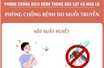 Phòng chống bệnh do muỗi truyền