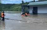 Lâm Đồng: Bất an với cung sạt lở dài hàng trăm mét ở đồi thông 35ha