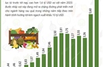 Dự báo năm 2024, xuất khẩu rau quả đạt kỷ lục hơn 7,2 tỷ USD