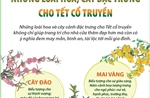 Những loài hoa, cây đặc trưng cho Tết cổ truyền