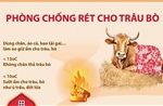 Phòng chống rét cho trâu bò