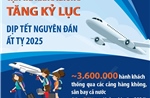 Vận tải hàng không tăng kỷ lục dịp Tết Ất Tỵ 