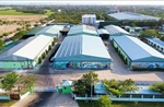 Thu hút nhiều &#39;sếu đầu đàn&#39; vào các khu công nghiệp