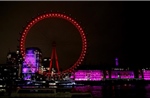 Anh: Vòng quay London Eye gặp sự cố giữa thời tiết nắng nóng