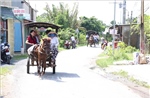 Nhiều hoạt động gắn kết các thành viên trong gia đình dịp nghỉ lễ dài ngày