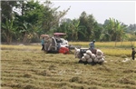 50 năm Thống nhất đất nước: Điểm sáng ở vùng duyên hải Gò Công