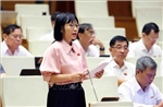 Sữa giả, thuốc giả và trách nhiệm từ quản lý đến đạo đức doanh nghiệp