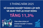 5 tháng năm 2025, số doanh nghiệp thành lập mới và quay trở lại hoạt động tăng 11,3%