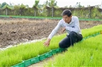 Vinh quang Việt Nam 2025: Nhà khoa học của đồng ruộng