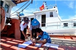 Khắc phục &#39;thẻ vàng&#39; IUU: Lập danh sách các tàu cá &#39;3 không&#39; để phối hợp quản lý