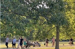 Người dân London đổ tới các công viên tránh nóng 