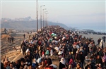 Ai Cập và AL tái khẳng định cam kết về giải pháp công bằng và toàn diện cho vấn đề Palestine