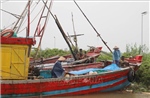 Ninh Bình: Khẩn trương triển khai các biện pháp phòng, chống bão số 3 