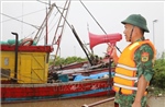 Ninh Bình: Khẩn trương triển khai các biện pháp phòng, chống bão số 3 